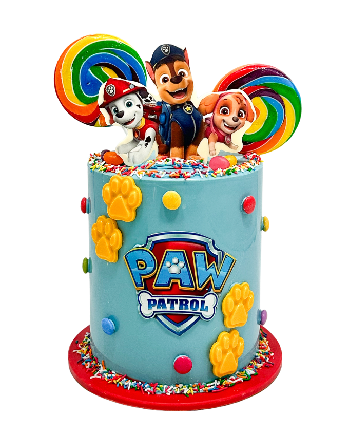 A paw patrol paw patrol outlet