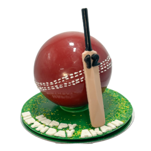 Cricket Ball Smash Cake